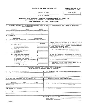 bureau of treasury online application.